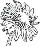 Kerr & Company logo